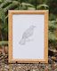Tūī Bird | Manu (Bird) Art Print Collection