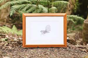 Manu Of Aotearoa: Pīwaiwaka (Fantail) Bird | Manu (Bird) Art Print Collection