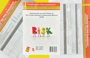Products: Asbestos Risk Assessment Templement OHS Consultants