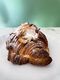 Almond Croissant Take a Bite