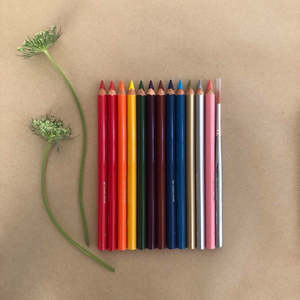 Pencils: MERCURIUS WATERCOLOUR PENCILS