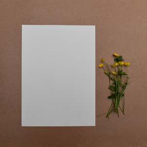 Paints: WET~ON~WET WATERCOLOUR PAPER 140GSM ~ A3 ~ 10 SHEETS