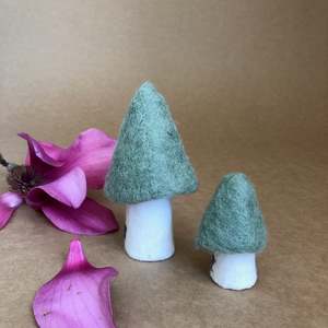 Muskhane: MOREL MUSHROOM - SMALL ~ TENDER GREEN ~ MUSKHANE