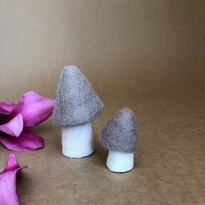 Muskhane: MOREL MUSHROOM - MEDIUM ~ CULULUS~ MUSKHANE