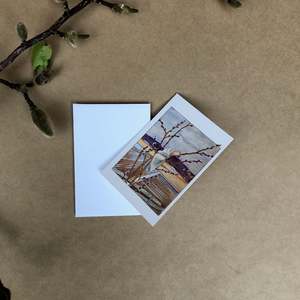 Elsa Beskow: ELSA BESKOW ~  GIFT CARD