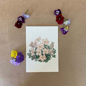 OXALIS ~ GREETING CARD