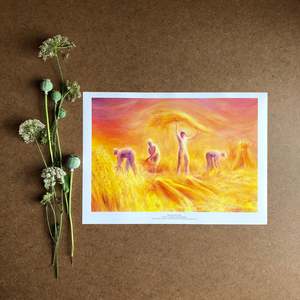 Educational Books: HARVESTING THE GRAIN PRINT ~ DAVID NEWBATT