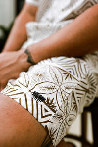 Savili Collection: SAVILI MENS SHORT TMS002