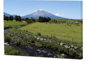 Products: Canvas – Rural South Taranaki Stream