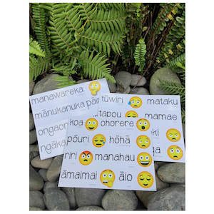 Koha Gifts: Magnet Māori Feelings & Emoji