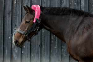 Atlas Equine Cranial Massager