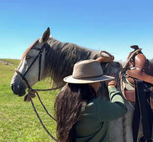Tau Equestrian Horse Training: Start Your Own Horse Course