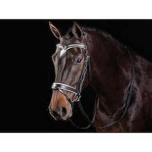 Bridles: Collegiate V Shaped Diamante