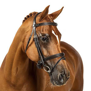 Bridles: Flexible Fit Premium Havana Snaffle Bridle Enchanted