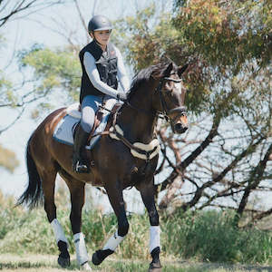 Lumiere Venus 5 Point Breastplate