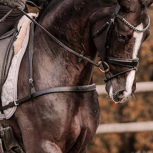 Alicia Dressage Breastplate