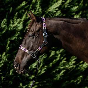 Halters Leads: Double Hill Leather Polo Halter