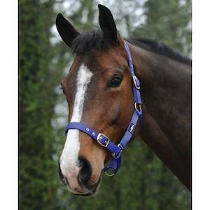 Halters Leads: Saxon Nylon Brass Buckle Headcollar
