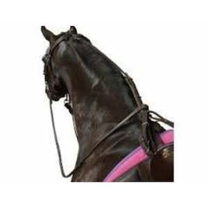 Accessories 1: Kincade Poly Anti Grazing Strap