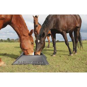 Buckets Feeding: Magnum Paddock Feeder