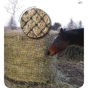 Buckets Feeding: Showmaster Slow Feeder Bale Net