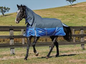 Weatherbeeta Comfitec Premier Thinsulate Combo 300gm