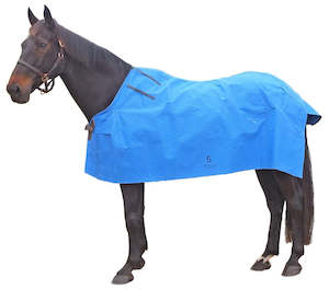 Rugs: Flair Stable Star 18oz Coverlock Lined Standard Neck Canvas 4'9