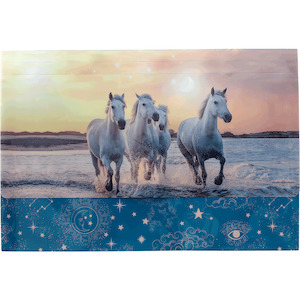 Document Wallet - Cosmic Canter