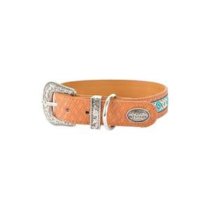 Pet Accessories: Pure Western Remy Dog Collar