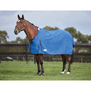 Winter Rugs: Weatherbeeta Lined Canvas Standard Neck