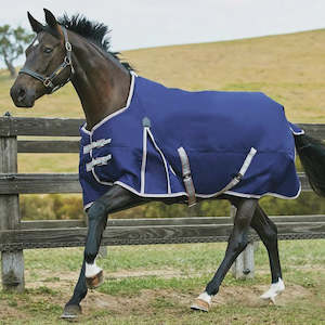 Weatherbeeta Comfitec Essential Standard Neck Medium