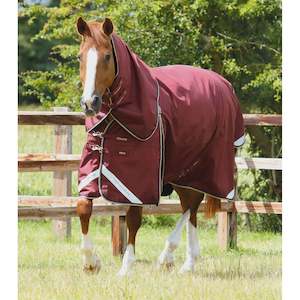 Winter Rugs: Premier Equine Buster Zero Turn Out Combo