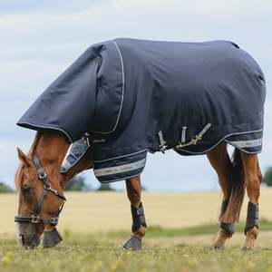 LeMieux Arika Storm-Tek Detachable Neck 200g Turnout Rug - Navy