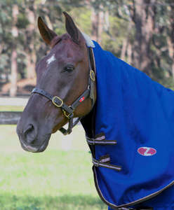 Garrison Neck Rug - Medium/Large