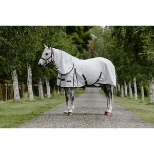 Winter Sale Stock: Cavallino Oxford Summer Combo