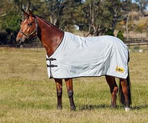Saxon Kool Coat Classic Lite Standard Neck Sheet