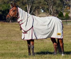 Saxon Kool Coat Cotton Combo