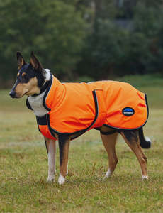 Weatherbeeta Comfitec Reflective 300D Deluxe Showerproof Dog Coat