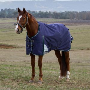 Weatherbeeta Comfitec Plus Dynamic Turnout Standard Neck 100gm
