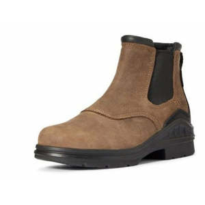 Foorwear: Men's Barnyard Twin Gore II H20