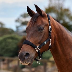Horse Wear: Dublin Neo Comfort Halter