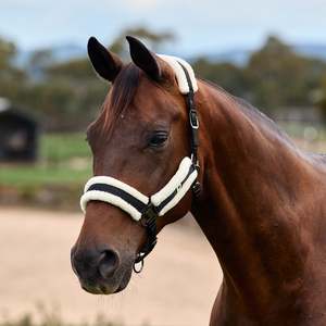 Horse Wear: Dublin Soft Fit Headcollar