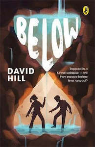 Nz Childrens Young Adult Book Awards: Below
