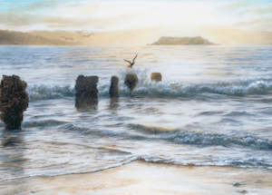 Fathers Day Cards: EVENING LIGHT Hillary Tippins