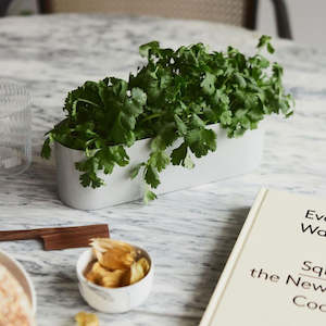 Living: Love Boat Vessel