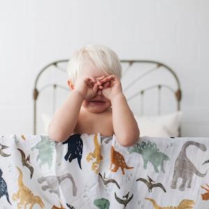 Little Unicorn: Single Cotton Muslin Swaddle - Dino Friends