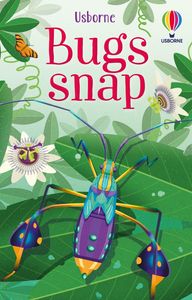 Usborne Bug Snap Cards by Fiona Watt (3+ years)