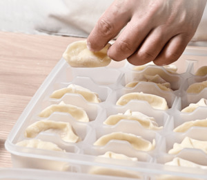 Feeding: 30pcs Frozen Dumpling Organizer Storage Container with Individual Compartment & Lid