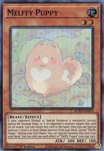 Rise Of The Duelist Tcg Collector Nz: Melffy Puppy [ROTD-EN019] Super Rare