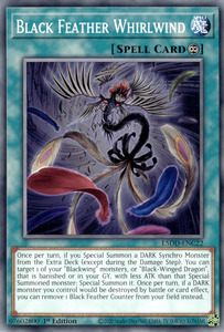 Yu Gi Oh Singles Tcg Collector Nz: Black Feather Whirlwind [L5DD-ENC22] Common